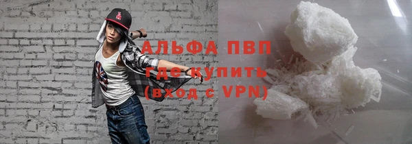 индика Волоколамск