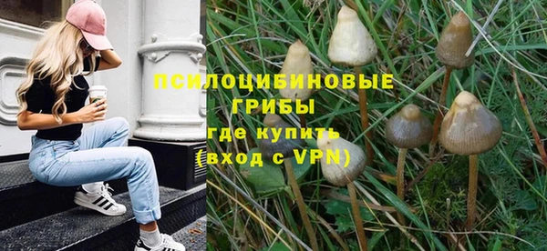 индика Волоколамск