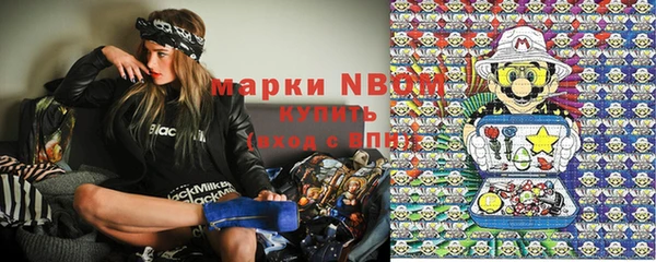 индика Волоколамск