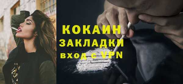 индика Волоколамск