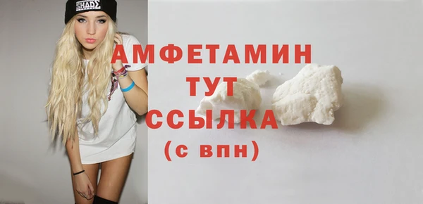 индика Волоколамск