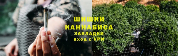 индика Волоколамск