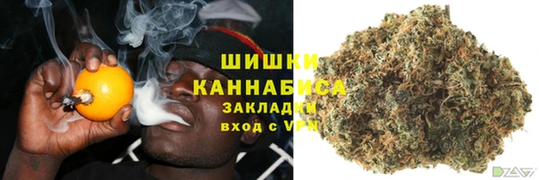 индика Волоколамск