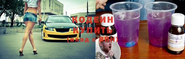 индика Волоколамск