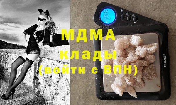 индика Волоколамск