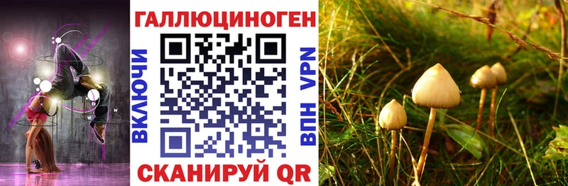 Галлюциногенные грибы MAGIC MUSHROOMS  Чегем 